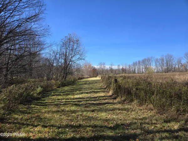 Hinds & Mican RD, Waymart, PA 18472
