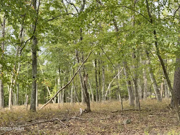 Lot 344 Sec 4 Lakewood DR, Milford, PA 18337