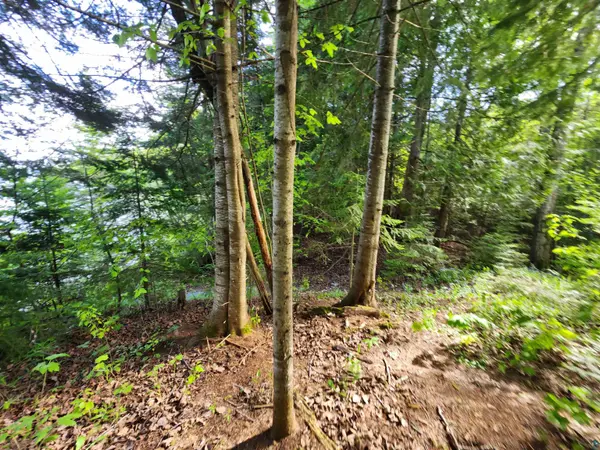XXX Brickyard Creek Rd, Bayfield, WI 54814