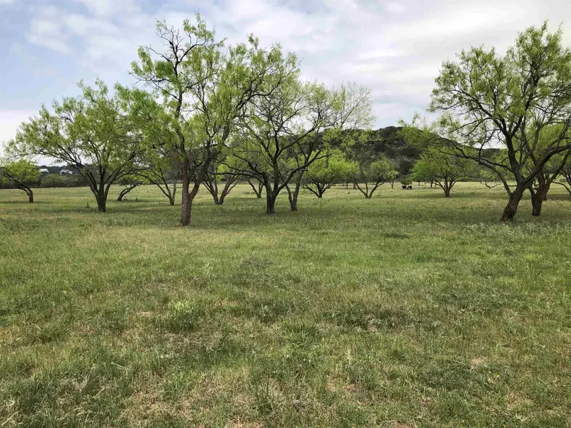 Lot 4 Stone Mountain DR, Marble Falls, TX 78654
