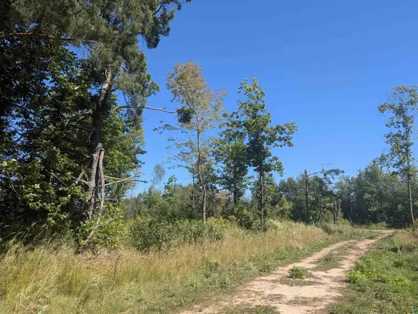 30 Acres on Peterson Hill Rd, Bayfield, WI 54814