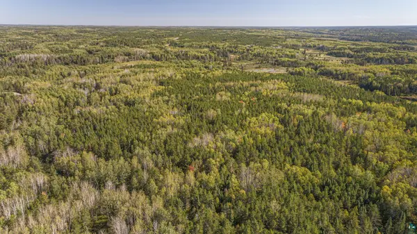 TBD Forest Rd 200, Buyck, MN 55771