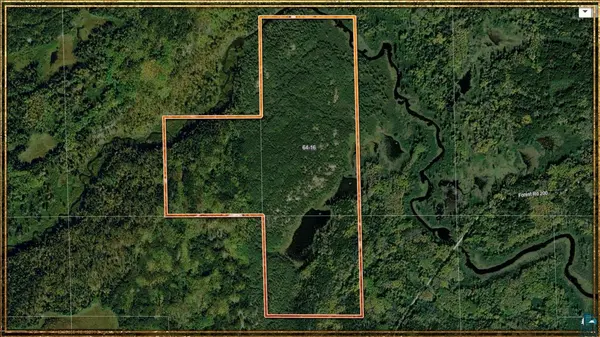 TBD Forest Rd 200, Buyck, MN 55771