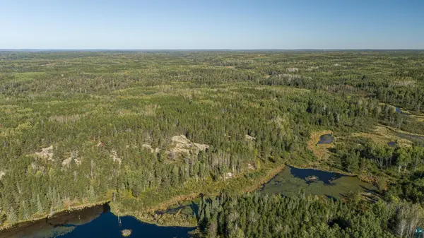 TBD Forest Rd 200,  Buyck,  MN 55771