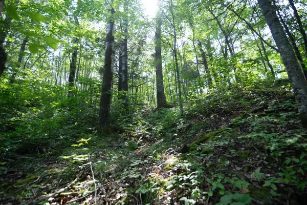 42 Acres on Old Highway 63 S, Grand View, WI 54839