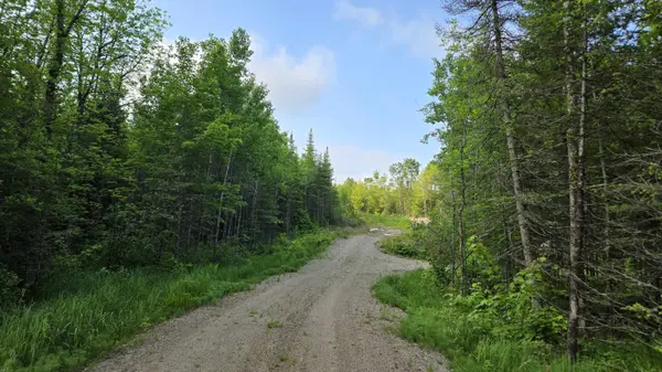 6466 County Rd 422, Buyck, MN 55771