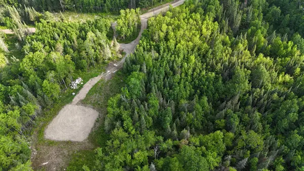 6466 County Rd 422, Buyck, MN 55771