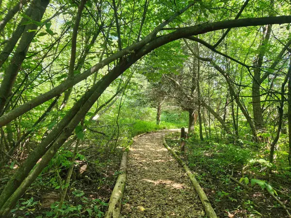 XXX Creek Tr, Bayfield, WI 54814