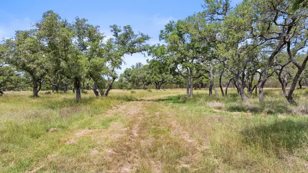 997 Sandy Oaks Ranch RD, Johnson City, TX 78636