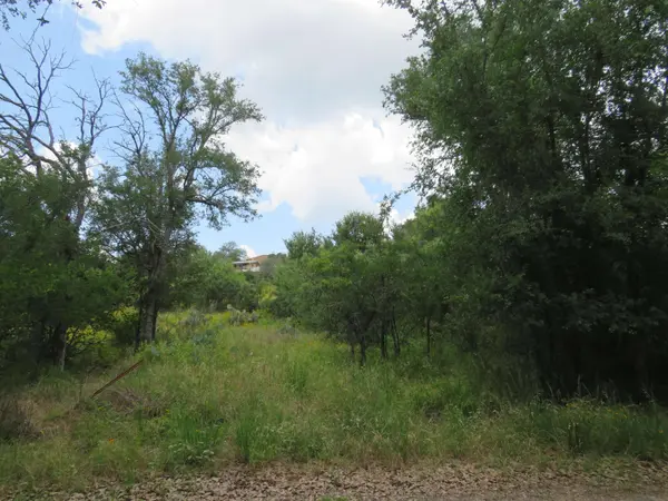 Lot 163 Buena Vista DR, Burnet, TX 78611