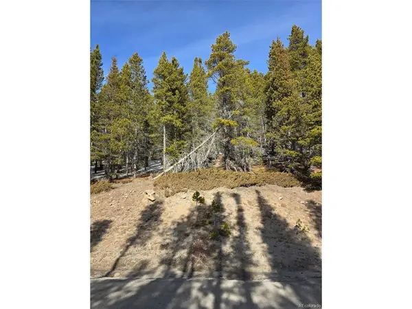 680 Alice, Idaho Springs, CO 80453
