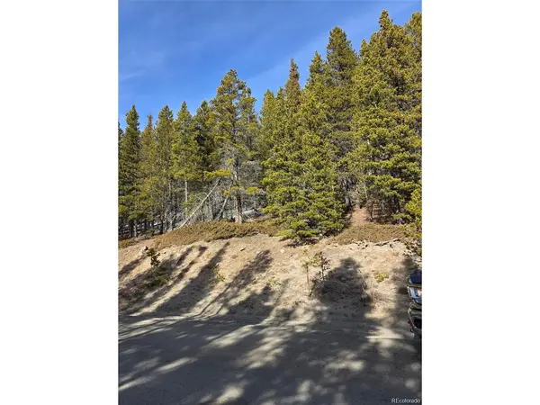 680 Alice, Idaho Springs, CO 80453