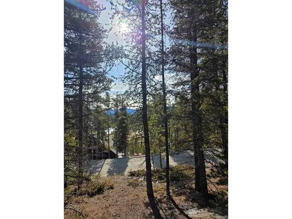680 Alice, Idaho Springs, CO 80453
