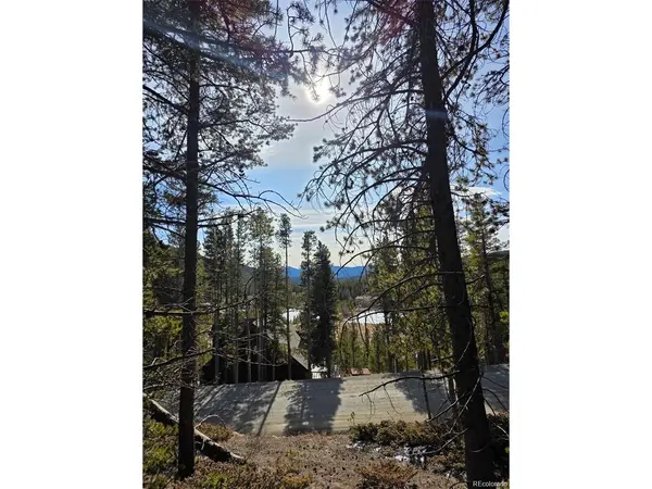 680 Alice, Idaho Springs, CO 80453