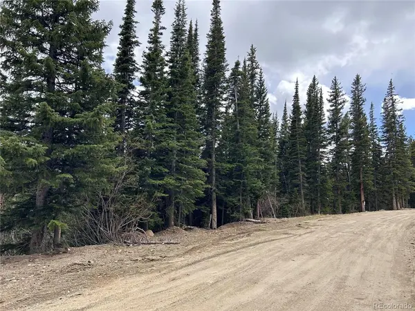 Texas, Idaho Springs, CO 80452