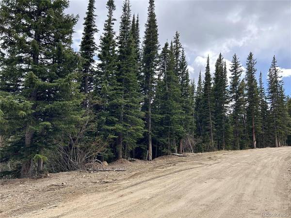 Texas, Idaho Springs, CO 80452