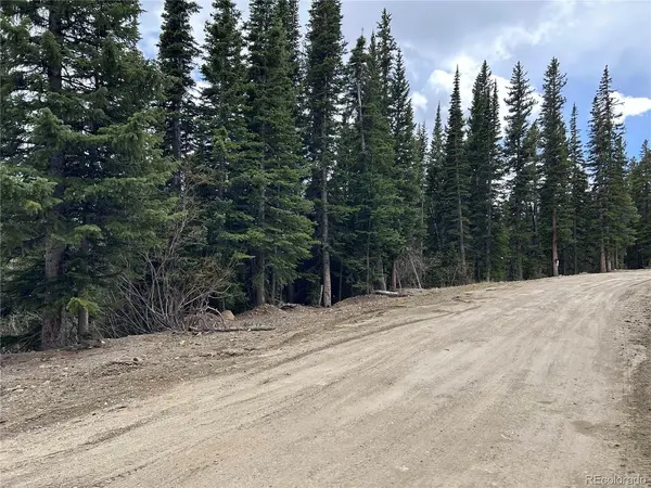 Texas, Idaho Springs, CO 80452