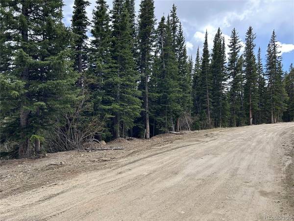Texas, Idaho Springs, CO 80452