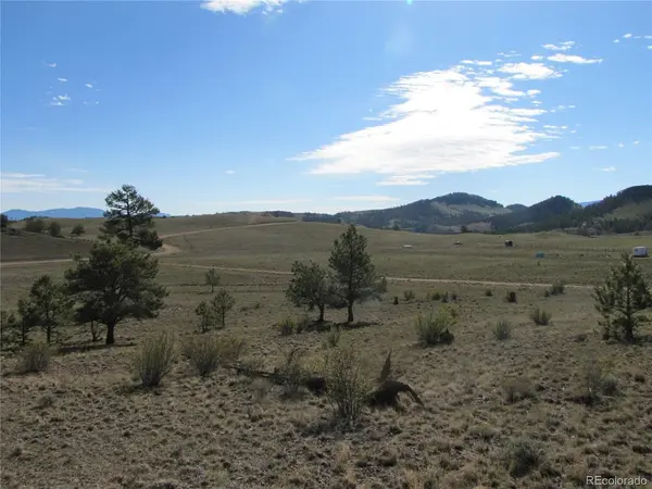 49 Quail, Hartsel, CO 80449