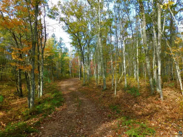 xxxx Sajdak Rd, Iron River, WI 54847