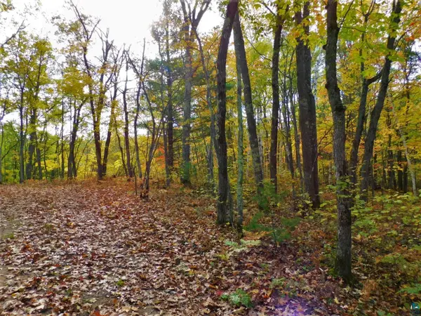 xxxx Sajdak Rd, Iron River, WI 54847
