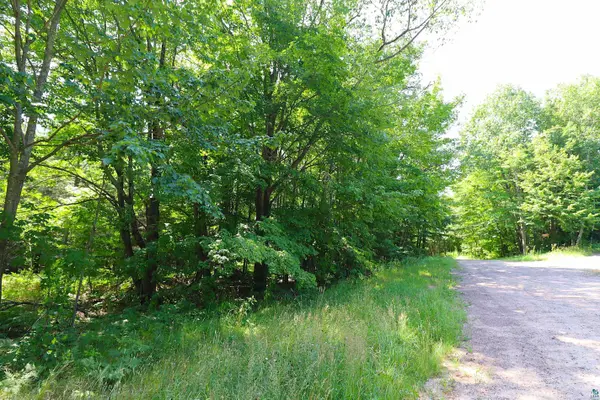 Lots 1-5 Wilson Ave, Bayfield, WI 54814