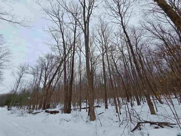 12XXX Olson Rd, Hayward, WI 54843