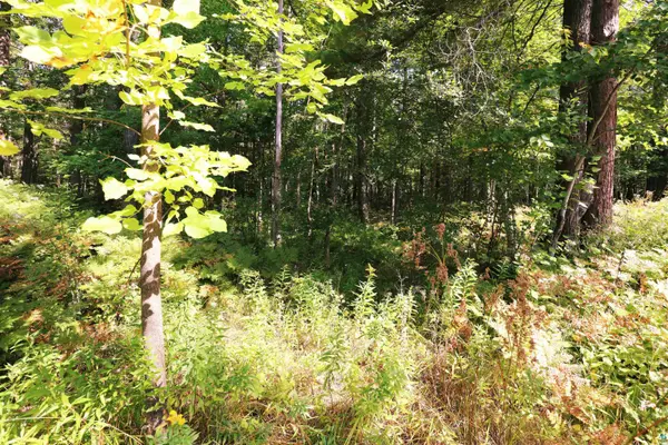 xxx N 10th Ave W, Washburn, WI 54891