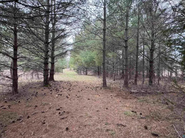 XXX Lund Rd, Maple, WI 54854