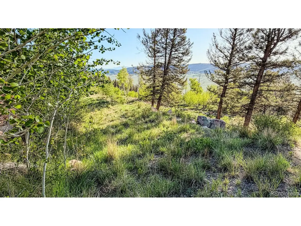 4924 Middle Fork, Fairplay, CO 80440