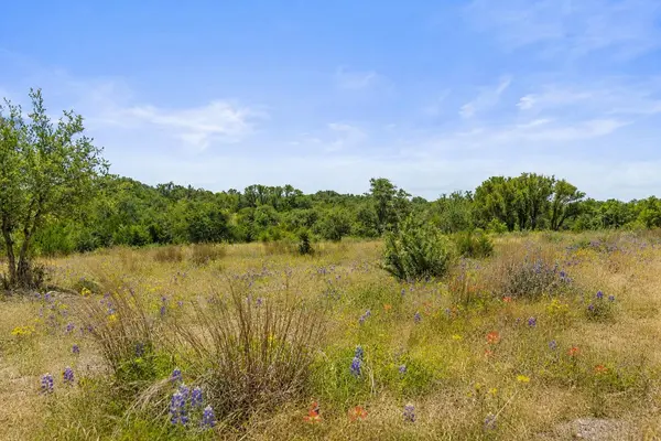 207 Verbena RD, Johnson City, TX 78636