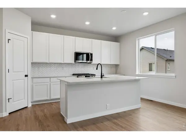 819 Mesic, Windsor, CO 80550