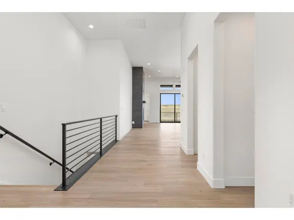 1727 Abundance, Windsor, CO 80550
