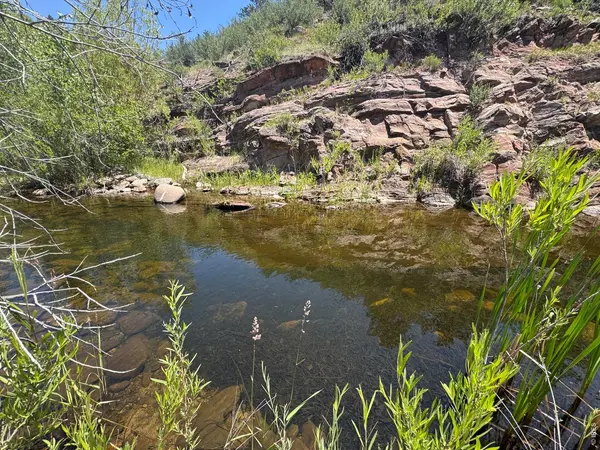 1114 Vision #& 1115, Lyons, CO 80540