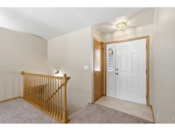 305 12th, Windsor, CO 80550