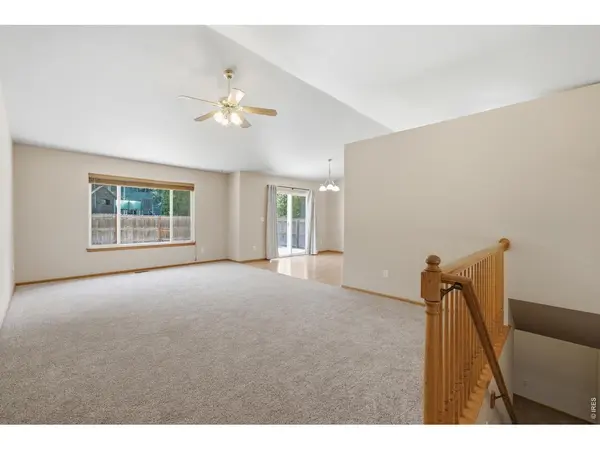 305 12th, Windsor, CO 80550