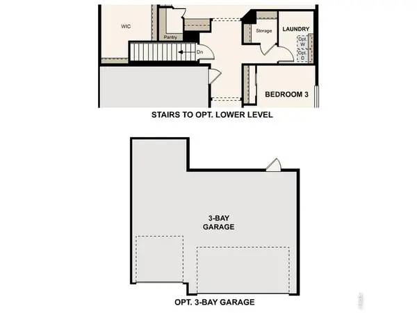 867 Mesic, Windsor, CO 80550