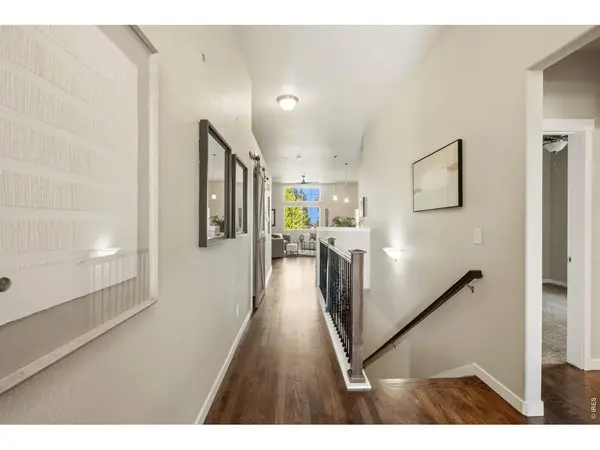 2177 Beehive, Windsor, CO 80550