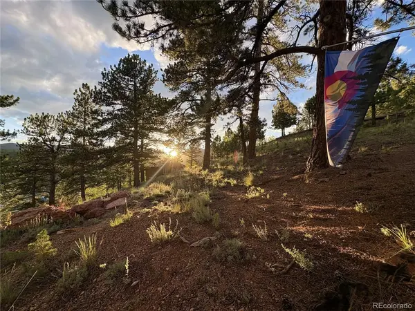 226 Hall, Bailey, CO 80421