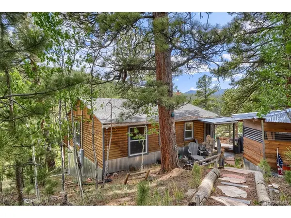 226 Hall, Bailey, CO 80421