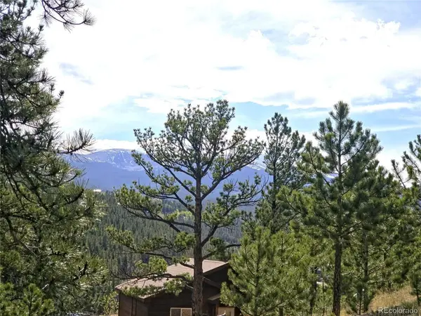 226 Hall, Bailey, CO 80421