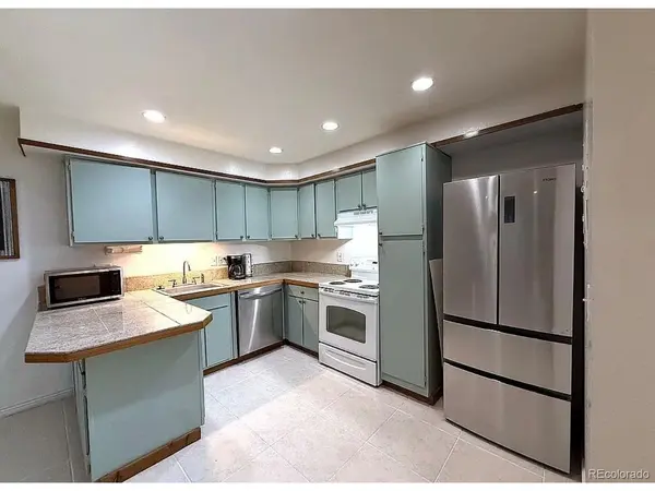 9366 Fall River #106, Idaho Springs, CO 80452