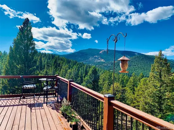 461 Hitchrack, Bailey, CO 80421