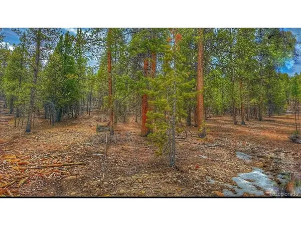 66 Mount Massive, Twin Lakes, CO 81251
