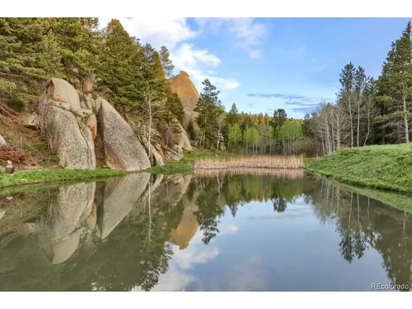 60 N County Highway 67, Sedalia, CO 80135