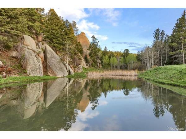 60 N County Highway 67, Sedalia, CO 80135