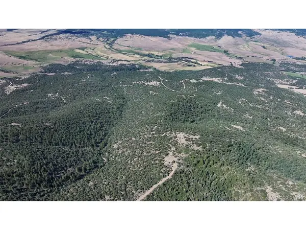 838 Ridgeway, Cotopaxi, CO 81223