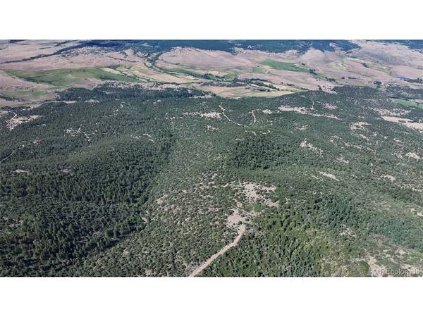 838 Ridgeway, Cotopaxi, CO 81223