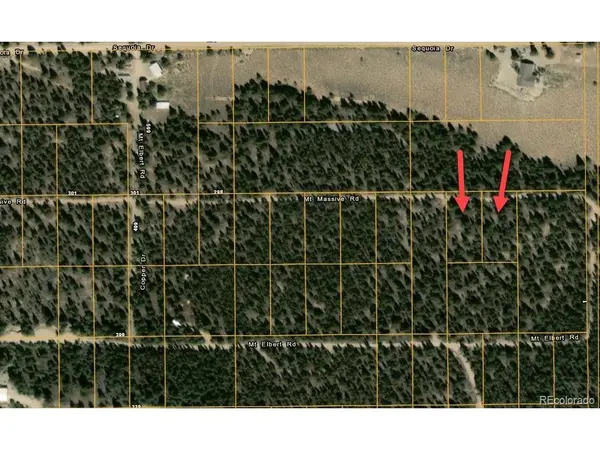 48 Mount Massive, Twin Lakes, CO 81251
