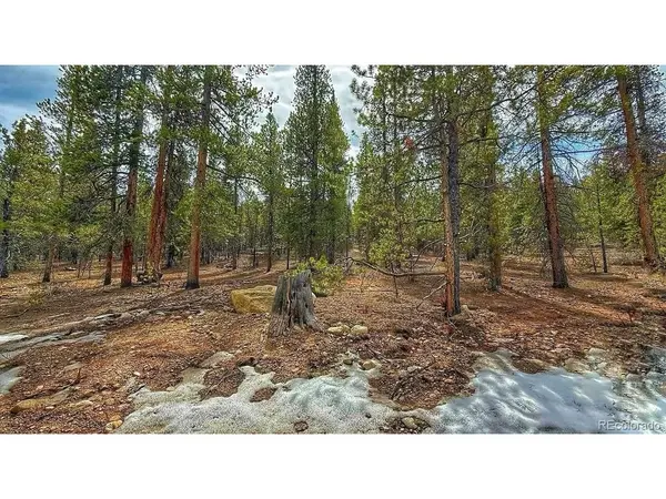 48 Mount Massive, Twin Lakes, CO 81251
